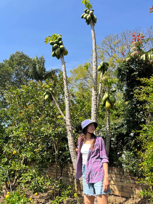 Surf Hat ‘Wave Watcher’